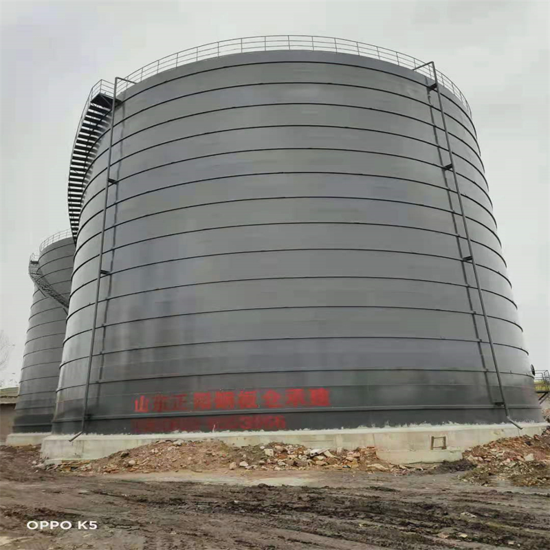 樟树3万吨大型钢板库